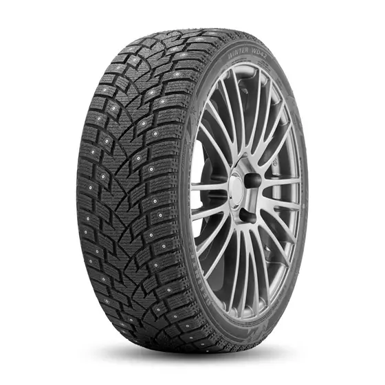 DELINTE Winter WD42 225/55 R19