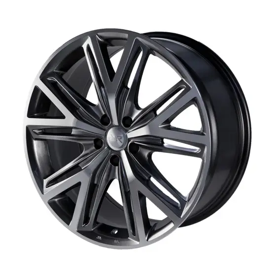 Race Ready Technology FU\CSS9530 R19
