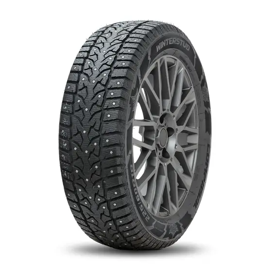 Compasal Winter Stud 255/45 R20
