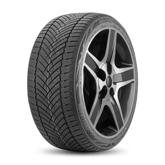 ARMSTRONG SKI-TRAC HP 225/55 R17
