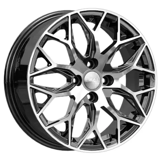 СКАД Фабиан R16