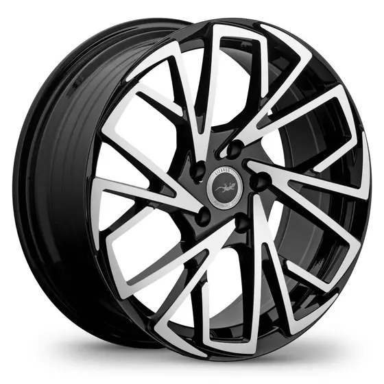 Lizardo Resolute 552 R18