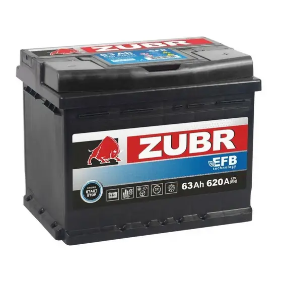 ZUBR EFB