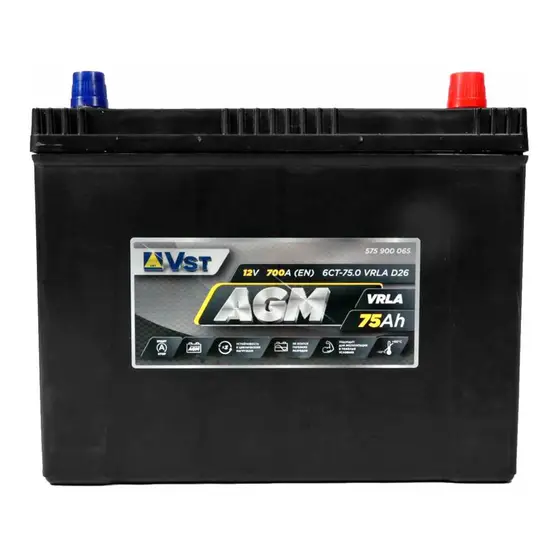 VST AGM ASIA