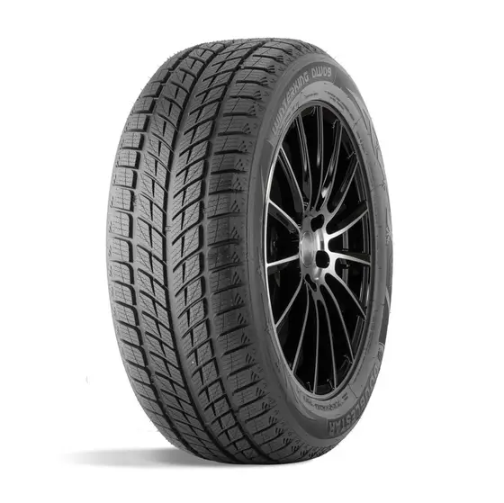 ДаблСтар DW09 255/50 R20